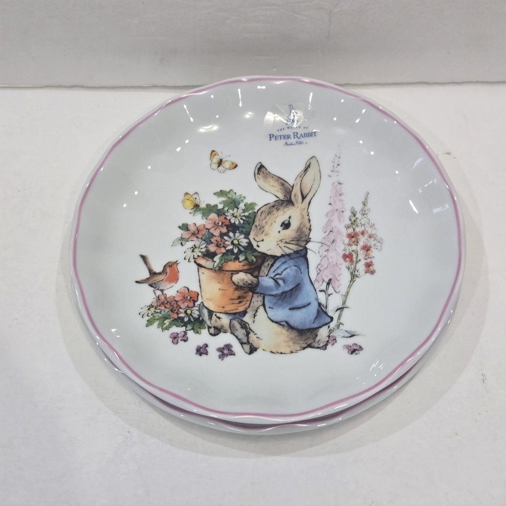 Peter Rabbit Easter Salad Plates Set of 2 Scalloped Pink Trim Beatrix Potter NEW
